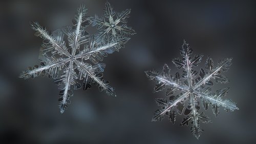 Snowflakes and People: How Differences Make Us Special