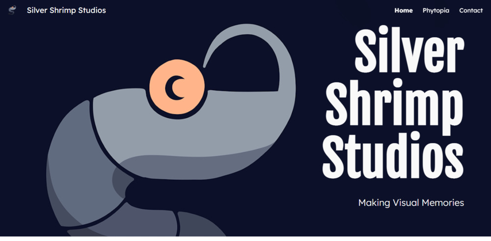Silver Shrimp Studios: Building My Business